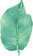 Big Leaf