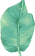 Big Leaf
