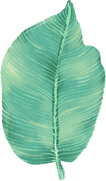 Big feuilles