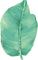 ビッグリーフ