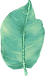 ビッグリーフ