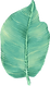 Big Leaf