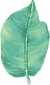 ビッグリーフ