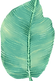 Big Leaf