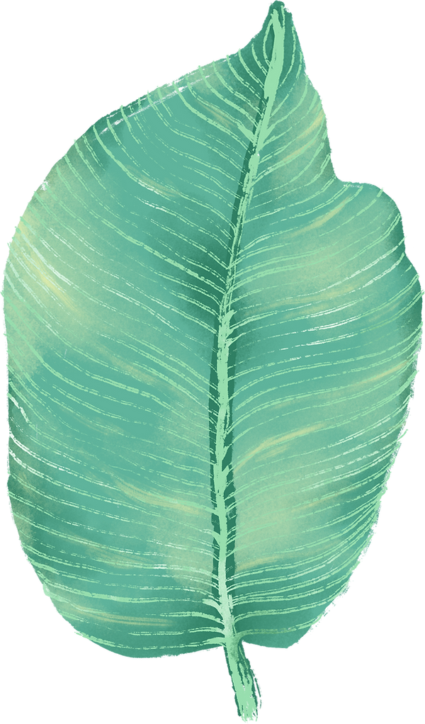 Big Leaf