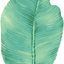 作家相片: Giök