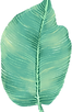 Hoja grande