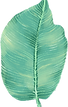 Big Leaf