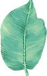 Big Leaf
