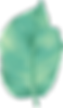 Hoja grande