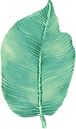 Big Leaf