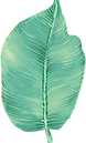 Big Leaf