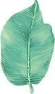 緑の葉のイラスト