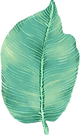 Big Leaf