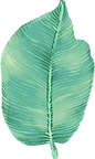 Big Leaf
