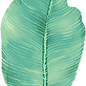 Big Leaf