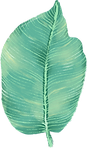 Big Leaf