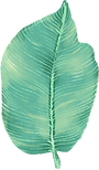 Big Leaf