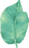 Big Leaf