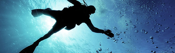 Scuba Diving Key West Reef