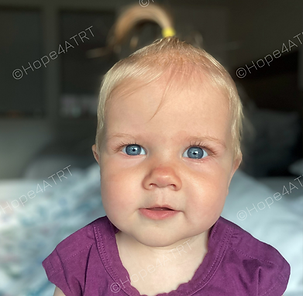 Ziva