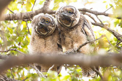 048A9044- copy (Large)