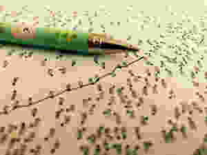 Connect the dots exercise with pen