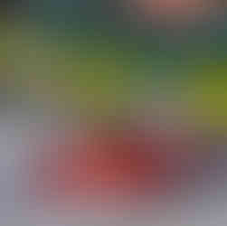 Partindo do meio do grid, precisou construir sua vitória.