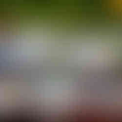 Ayrton Monteiro no Estadual de Kart 2025 RJ