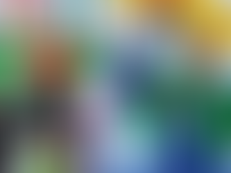 Sul-americano de Kart 2 Tempos no Chile: Lorenzo Kuhn é campeão na Micro e Lucas Kuhn conquista o vice na OK Júnior