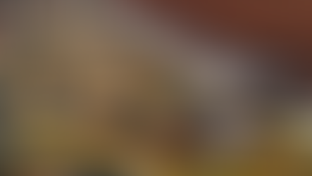 Regional Cup de Kart realiza etapa classificatória no Speed Park e campeão da OK FIA terá premiação especial para correr etapa da Copa Hyundai HB20