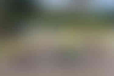 largada da Cadete - Mirim - 1ª Bateria da 3ª estapa do KIG