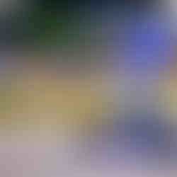 Enzo Valente conduzindo kart durante disputa na categoria Mirim Rookie em Interlagos