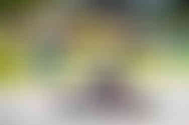 Joabe Mastella estreia no kartismo com pódio na categoria Mirim da Copa São Paulo Light de Kart, em Interlagos, competindo entre 22 pilotos.