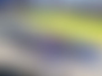 Penúltimo dia do Brasileiro de Kart define grids das finais do Grupo 1 — 2025