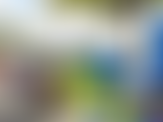 Primeiro dia de treinos das categorias da manhã encerra com melhores tempos na 26ª Copa Brasil de Kart