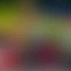 Miguel construiu sua vitória com base em controle