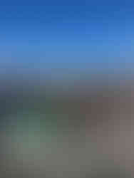 Brazilian KA100 Junior driver competing in the United States with a structured 2026 championship program and international development focus.