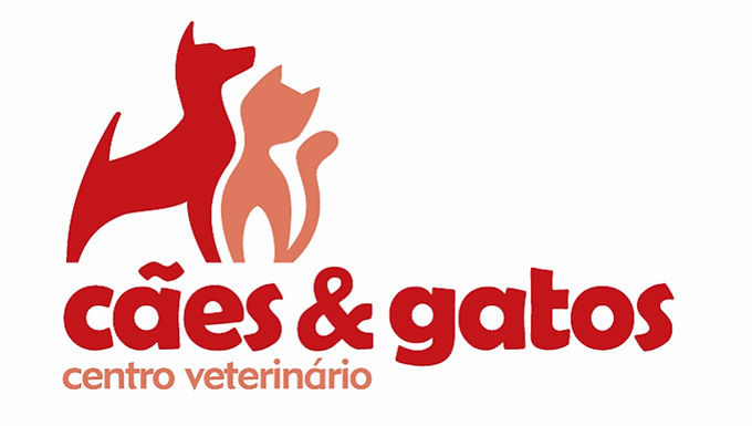 Referência em Joinville, a clínica fortalece sua conexão com a comunidade ao apoiar o kartismo e o projeto de comunicação do Portal KartWeb O Portal KartWeb tem a satisfação de anunciar a chegada da Cães & Gatos Centro Veterinária como novo apoiador oficial do projeto. Fundado em 1982 pela Dra. Rosely Wendel Gayoso Neves, a Cães & Gatos  centro veterinario foi uma das primeiras clínicas veterinárias da cidade de Joinville e se consolidou como referência em atendimento qualificado, inovação nos serviços e atenção 24 horas. São mais de quatro décadas dedicadas à saúde e ao bem-estar de cães, gatos e seus tutores, sempre guiadas por valores como excelência, ética, respeito e amor incondicional aos animais. Cães & Gatos centro Veterinario A parceria com o Portal KartWeb representa um novo capítulo na atuação comunitária da clínica, agora estendendo seu apoio ao universo do kartismo esporte que, assim como a medicina veterinária, exige foco, dedicação e constante aprimoramento. Ao apoiar o projeto de comunicação do Portal, a Cães & Gatos  contribui para o fortalecimento de iniciativas que promovem qualidade de vida, esporte e desenvolvimento social. Para o KartWeb, contar com o apoio de instituições sólidas e reconhecidas como a Cães & Gatos  é motivo de orgulho e responsabilidade. Trata-se de uma união baseada em propósitos comuns: compromisso com a evolução, atenção aos detalhes e valorização de quem faz a diferença nas pistas ou fora delas. Saiba mais sobre a clínica em:   clinicacaesegatos.com.br Portal KartWeb Está construindo sua carreira no kart? Mostre isso ao mundo. Anuncie aqu +55(47)99602-1692 Watts