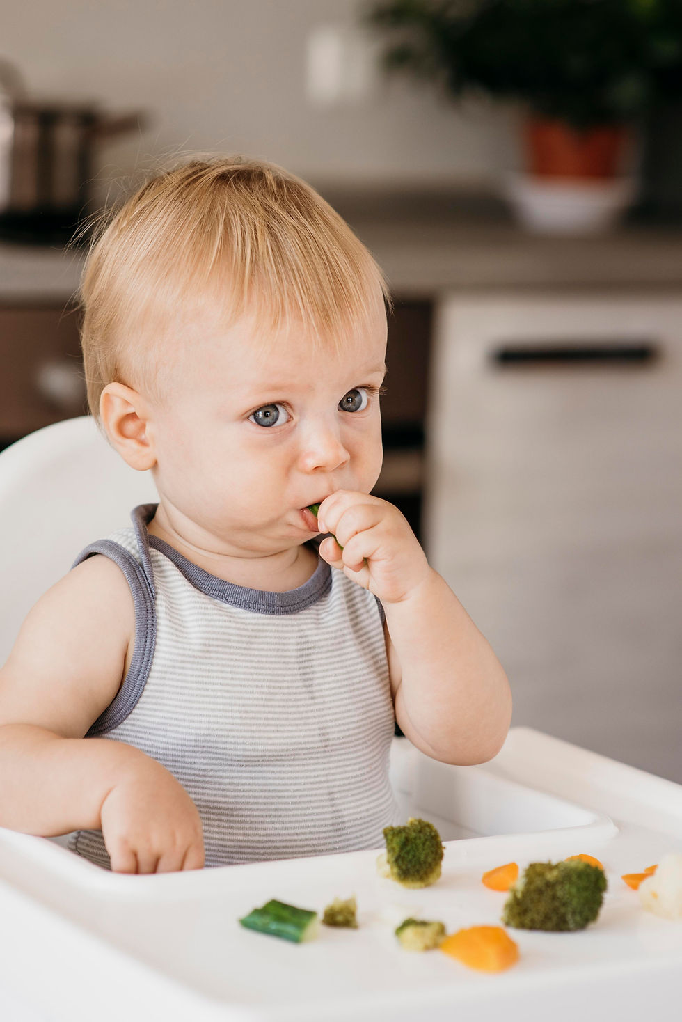 Bébé dans sa chaise haute qui mange avec ses doigts