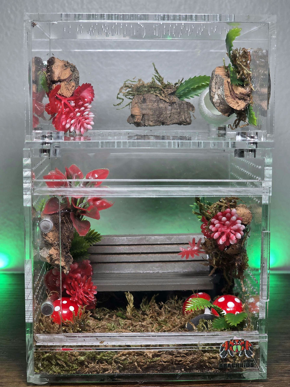 Thumbnail: The Groovy Garden 4x4x4&4x4x6 Conversion Enclosure. 