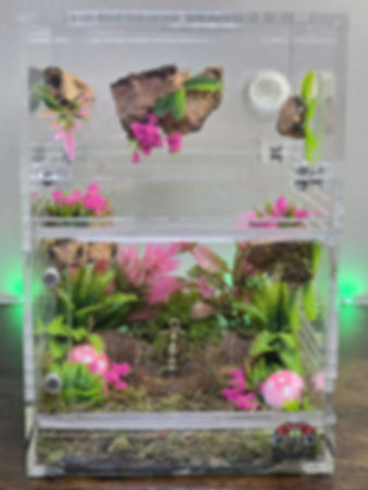 Tropical Pink Paradise Predecorated 4x4x4 & 4x4x6 Conversion Enclosure 