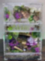 Thumbnail: Treasure Cove 4x4x4&4x4x6 Predecorated Conversion Enclosure