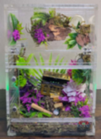 Treasure Cove 4x4x4&4x4x6 Predecorated Conversion Enclosure