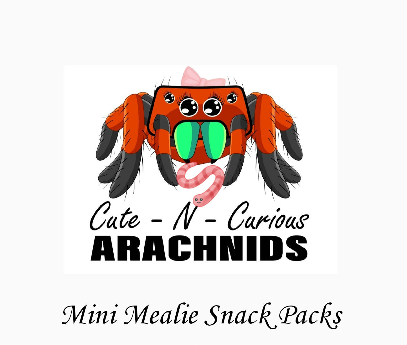 🪱50 Count Mini Meal Worm Live Feeders/Free Shipping🪱