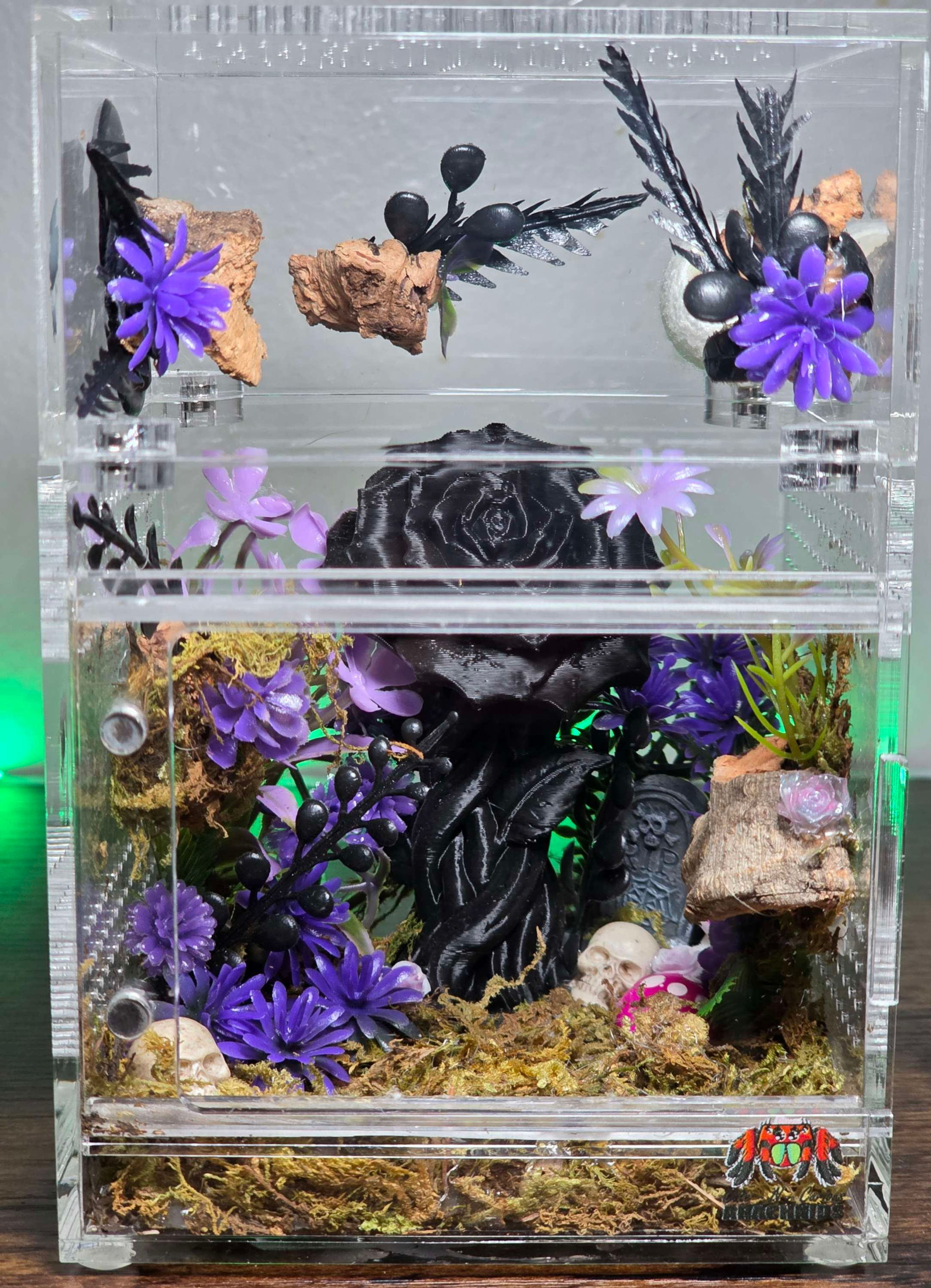The Gothic Rose Garden 4x4x4&4x4x6 Conversion Enclosure For Jumping Spiders