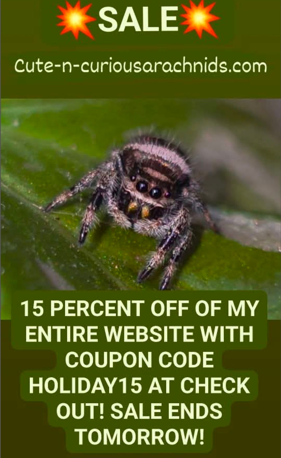 💥24 HOUR SALE HAPPENING NOW💥