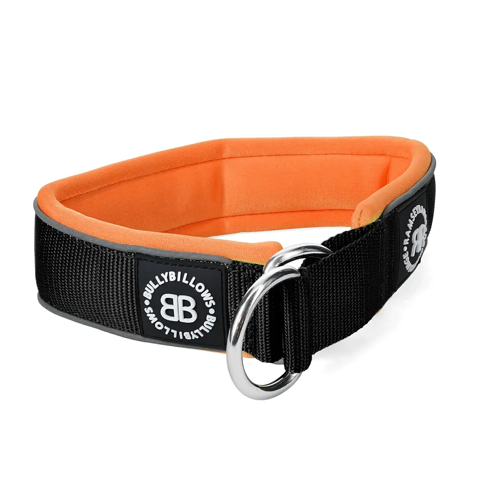 BULLY BILLOWS • 4CM SLIP ON COLLAR • BLACK & ORANGE
