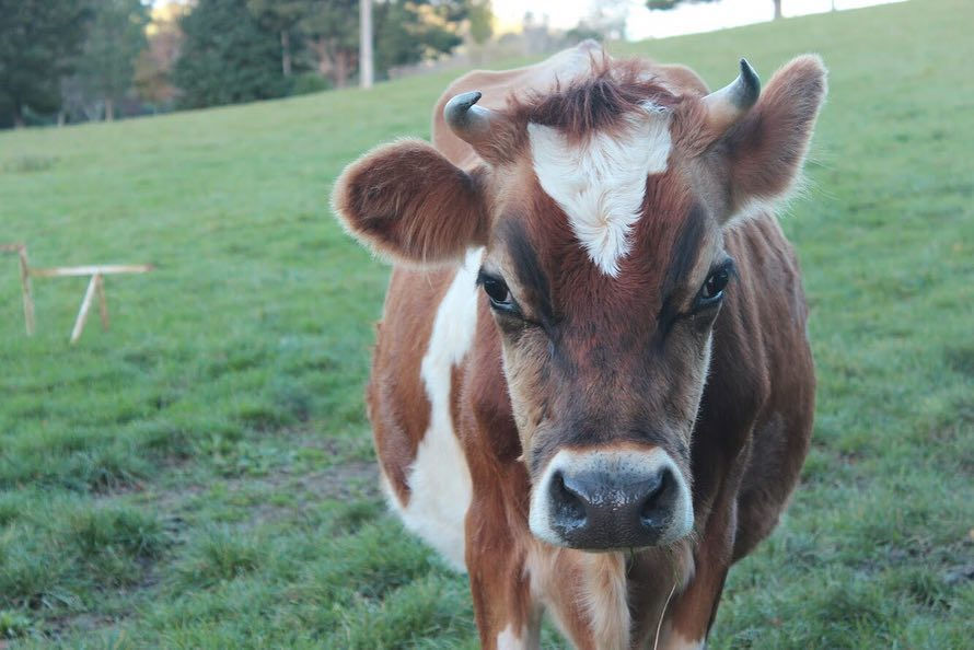 A Milestone Photo That Started My Photography Journey