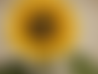 Understanding your NDIS Funding and how it can be utilised